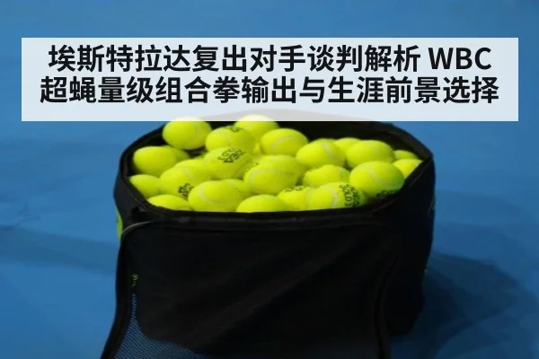 埃斯特拉达复出对手谈判解析 WBC超蝇量级组合拳输出与生涯前景选择